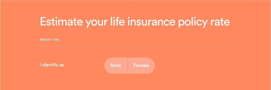 haven life insurance