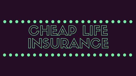 cheap term life insurance