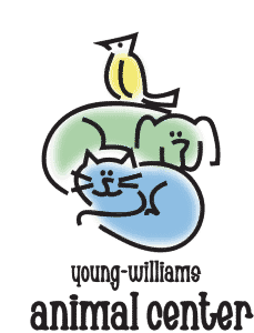 young williams logo