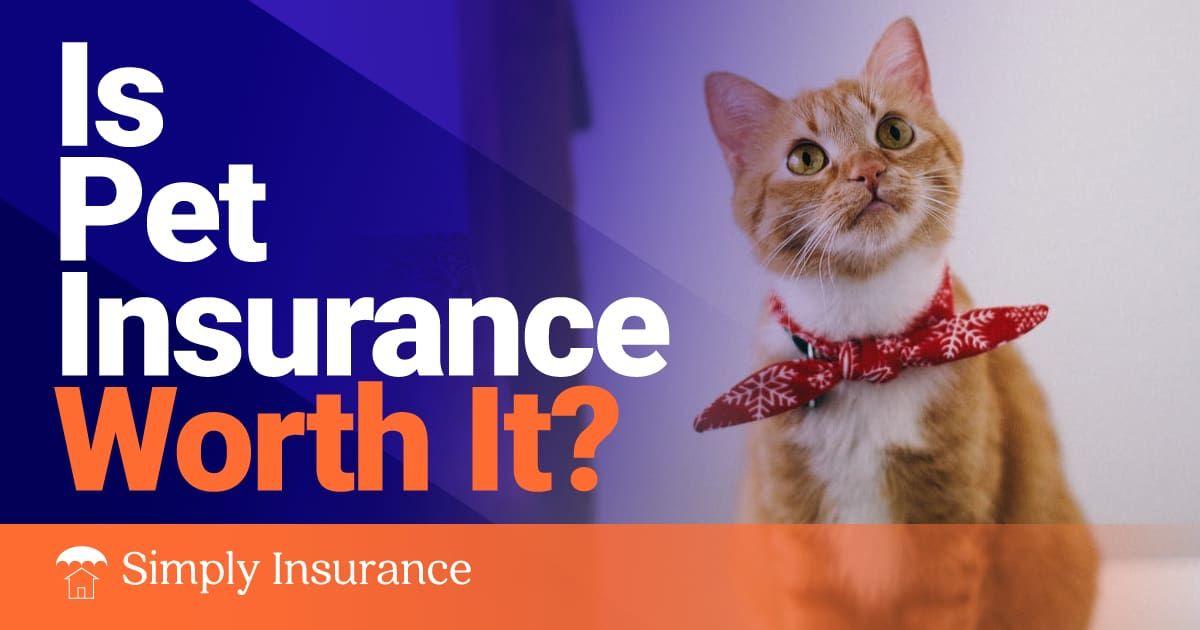 is pet insurance worth it