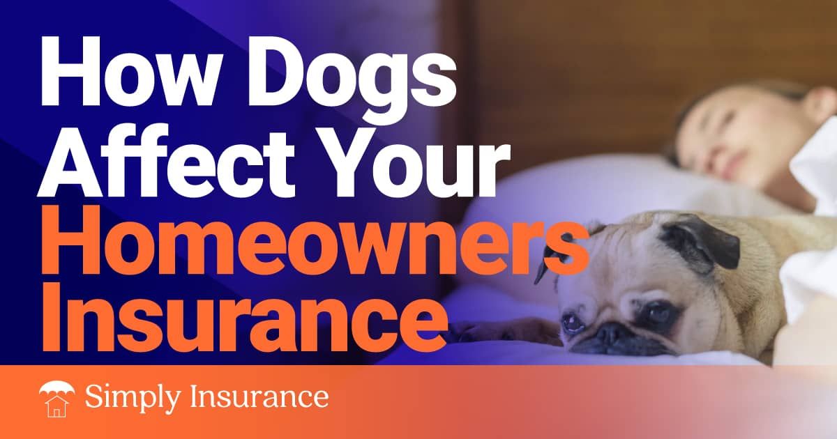 homeowners insurance dogs