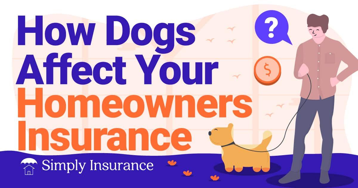 how dogs affect your home insurance