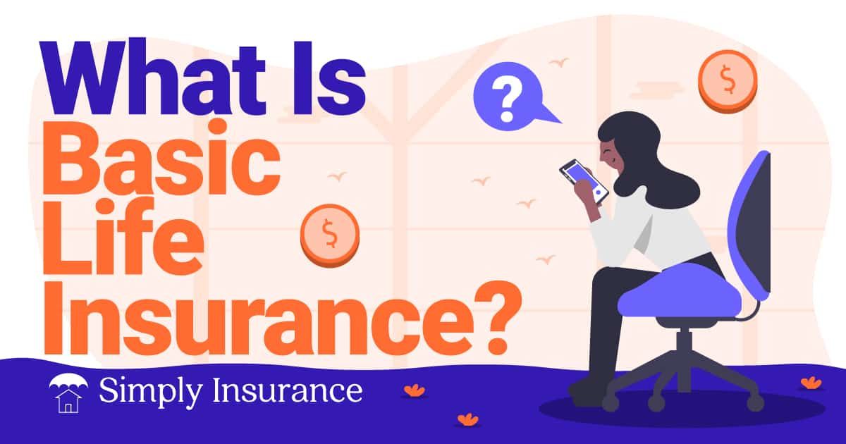 what is basic life insurance